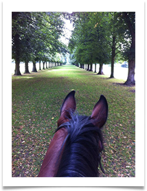 Through Paccos ears - Morag Pallett